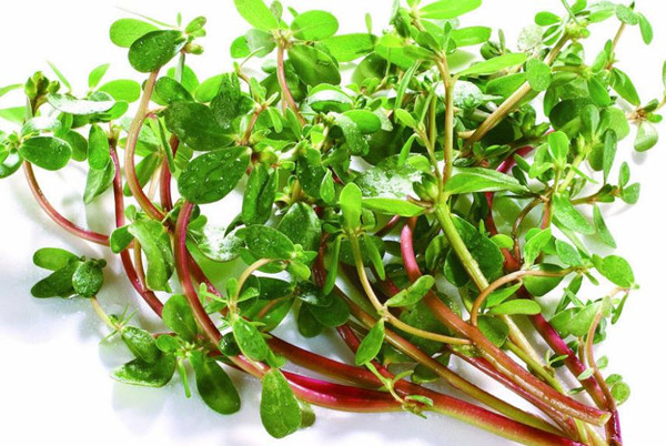 食堂承包餐飲服務(wù)管理為員工發(fā)展提供美味的食物，可以增加員工的社會(huì)福利